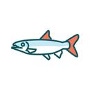Fish Info APK