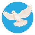 Pigeons Album