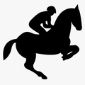 horse Info
