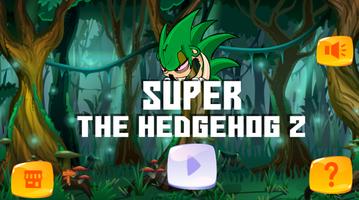 Super The Hedgehog Adventure 2 poster