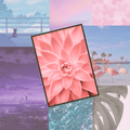 Fondos de Pantalla Aesthetics
