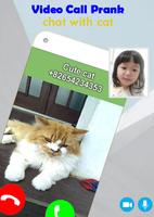 Cat Video Call 2022 poster