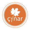 Çynar