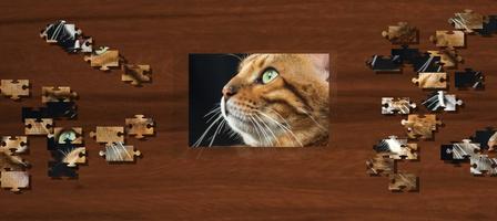 Fantastic Jigsaw Puzzle : Cats imagem de tela 2