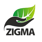 Zigma icono