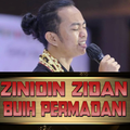 Zinidin Zidan Buih Permadani