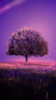 Wallpaper Nature screenshot 3