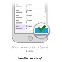 SAP Fieldglass Time Entry Screenshot 3