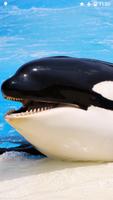 Orca Killer Whale पोस्टर