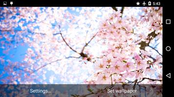 Magic Touch: Japanese Sakura capture d'écran 3