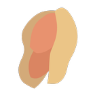 Peanuts icono