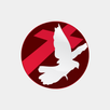 SBN NOW APK