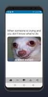 Cool Memes 스크린샷 2