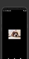 Dog Images | All Cute Breeds-poster