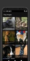Dog Images | All Cute Breeds capture d'écran 1