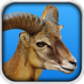 Goat Fight Simulator