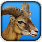 Goat Fight Simulator-icoon