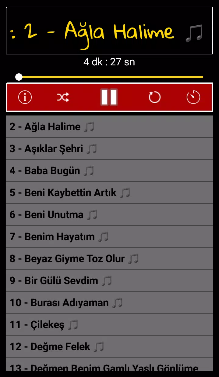 Android İndirme için ZARA Şarkıları APK