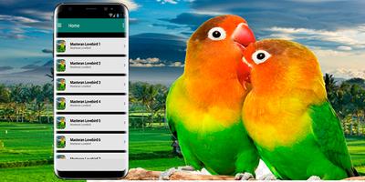 Masteran Lovebird - Suara Ngekek Panjang screenshot 2