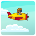 Beginner Pilot