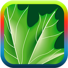 Nature ringtones icon