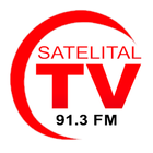 Radio Satelital Fm 91.3 آئیکن