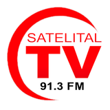 Radio Satelital Fm 91.3 icône