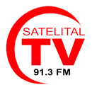 Radio Satelital Fm 91.3 APK