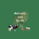 English Animals and Birds Quiz APK