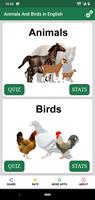 English Animals and Birds Quiz poster