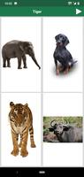 English Animals and Birds Quiz screenshot 2