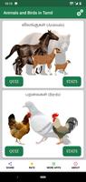 Tamil Animals and Birds - Quiz الملصق