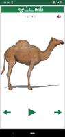 Tamil Animals and Birds - Quiz تصوير الشاشة 1