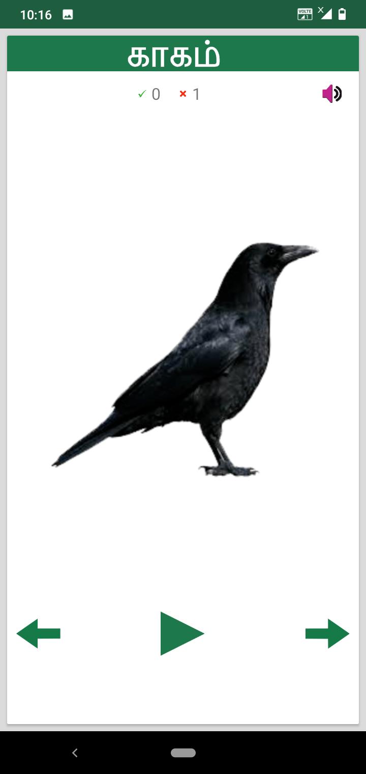 Learn Animals and Birds in Tam APK for Android Download Learn Animals and Birds in Tam APK for Android Download