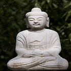 Pali-Hindi Dictionary icône