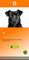 Adopciones Tepa 스크린샷 1