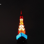Tokyo Tower Puzzle icon