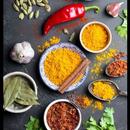 APK Easy Urdu Recipes