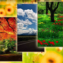 APK Nature Wallpapers 1