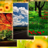 Nature Wallpapers 1 아이콘