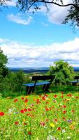 Nature Wallpapers تصوير الشاشة 1