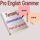 Pro English Grammar- Learn English,Basic Grammar APK