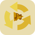 Gold Media Converter