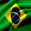 Brasil Entregas Parceiro APK