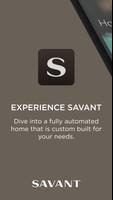 Savant โปสเตอร์