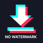 Download video no watermark-icoon