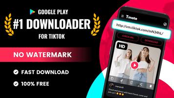 Video Downloader für TT Plakat