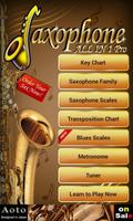 Saxophone All-in-one-pro Poster