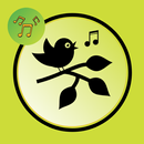 Sons d'oiseaux pour les sonneries APK