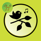 Bird sounds for tones icon